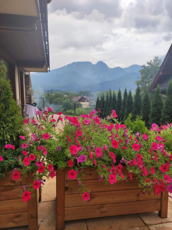Harnasiowa Izba Ski - Polana Szymoszkowa Ski Resort Zakopane Bagian luar foto